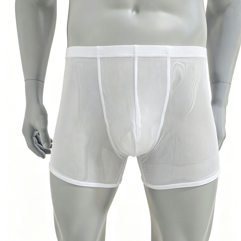 Men Mesh See-through Ultra-thi - Long Leg Trunk Men recensie en prijs