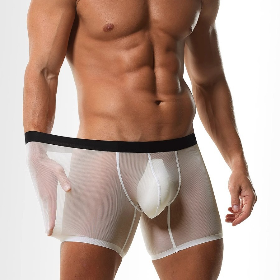 Mens Long Leg Boxer Shorts Ice - Long Leg Trunk Men recensie en prijs