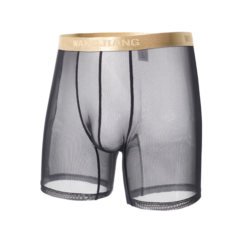 Wangjiang Men's Mesh Boxer Sho - Mesh Sport Boxer recensie en prijs